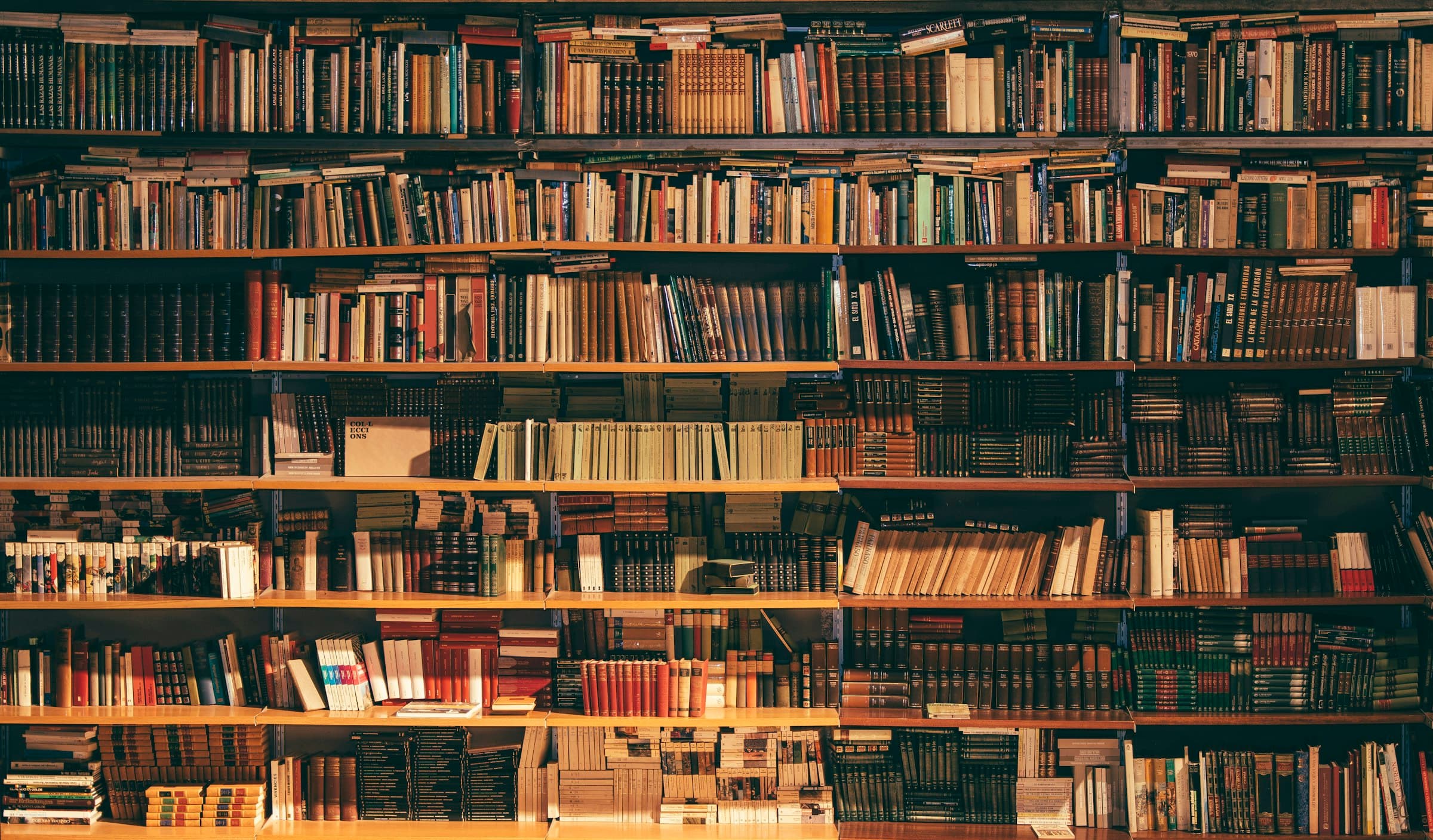 Intérieur d'une librairie ancienne aux rayonnages emplis de reliures de cuir